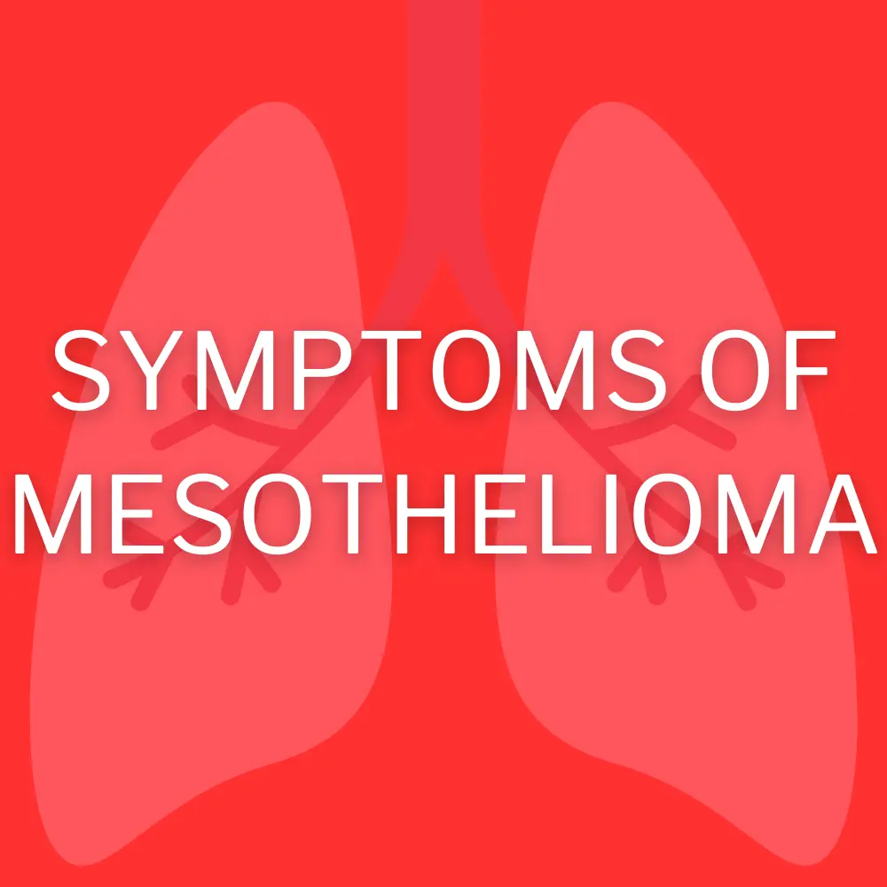 Symptoms of mesothelioma